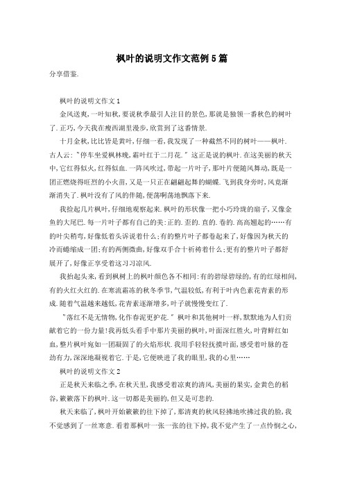 枫叶的说明文作文范例5篇