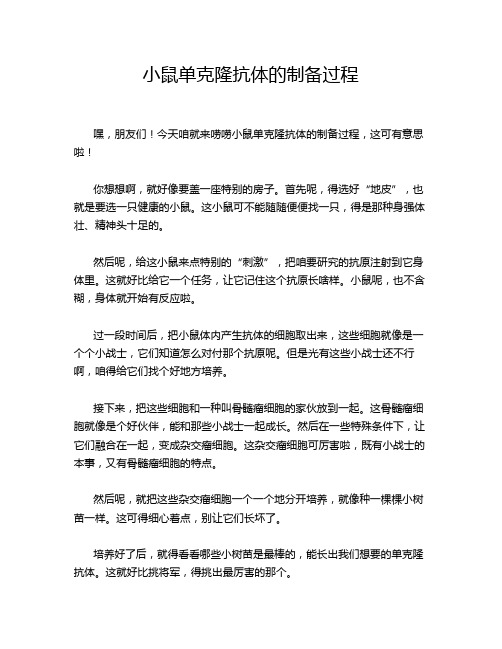 小鼠单克隆抗体的制备过程