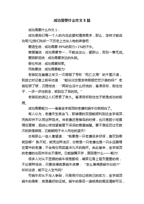 成功需要什么作文5篇