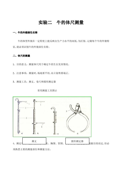 牛生产体尺测量实验