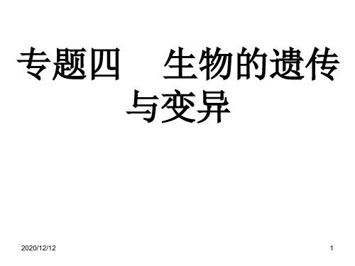 中考生物的遗传与变异复习PPT教学课件