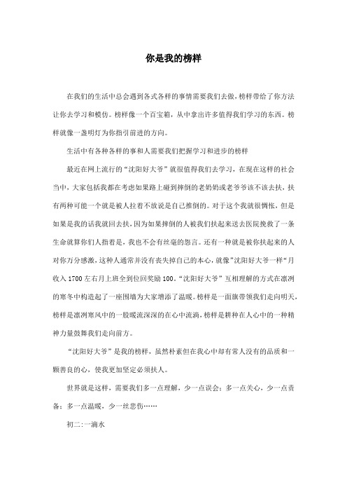 你是我的榜样_初中初二作文500字