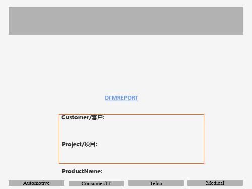 DFM报告模板[优质ppt]