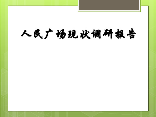 景观设计原理孝感人民广场调研报告