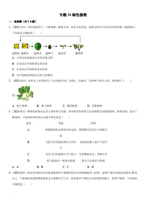 2021-2023年浙江省各市(杭州温州台州等)中考科学真题分类汇编专题16绿色植物含详解