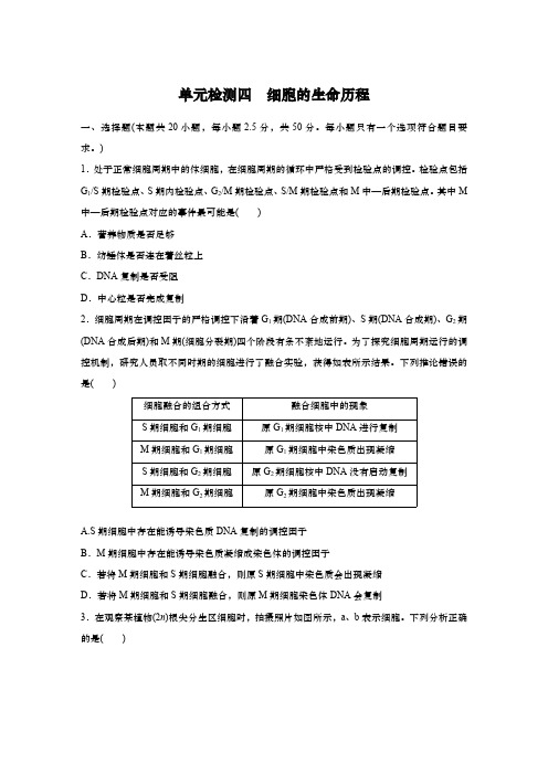 2025届高中生物学一轮复习：单元检测四 细胞的生命历程(含解析)