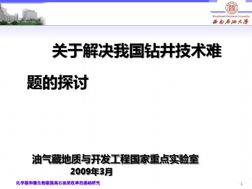 罗平亚―关于解决我国钻井技术难题的探讨精品PPT课件