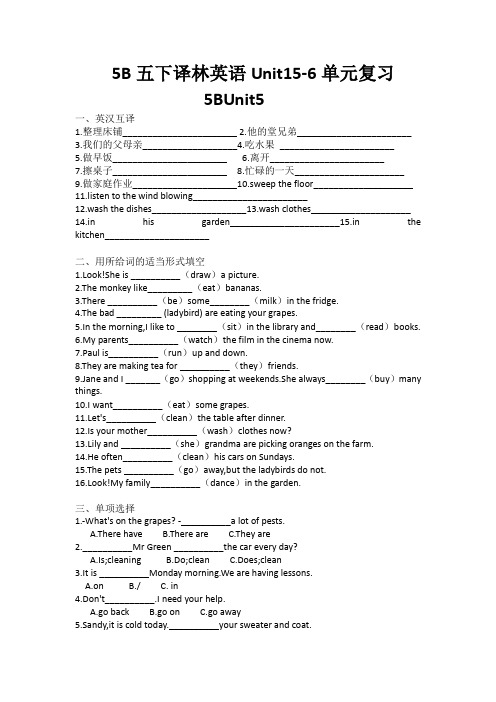 5B五下译林英语Unit5-6单元复习