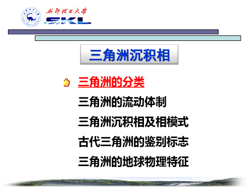 7.三角洲、水下扇及浊积扇沉积环境