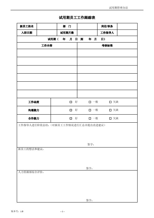 试用期工作跟踪表月