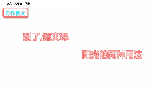 最新人教部编版六年级语文下册习作例文别了,语文课课件