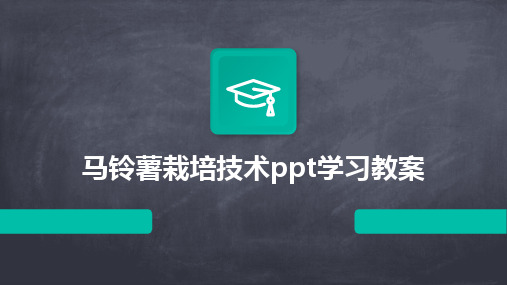 马铃薯栽培技术ppt学习教案