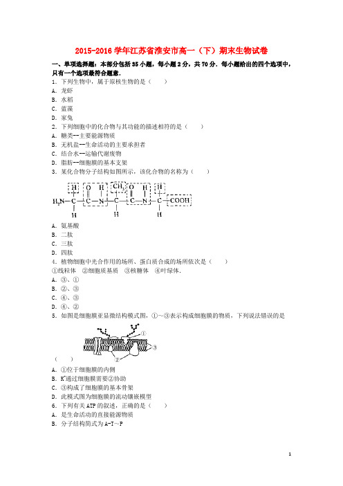 江苏省淮安市高一生物下学期期末试卷(含解析)