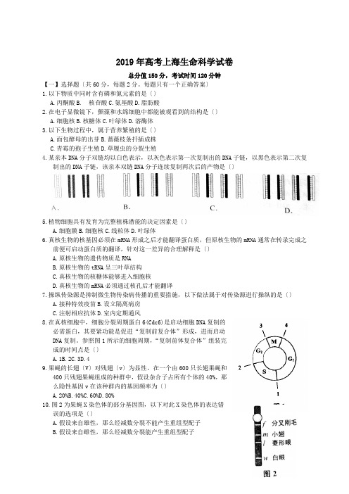 2019年高考上海生命科学试卷