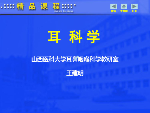 耳解剖学.ppt