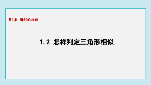 1.2怎样判定三角形相似 课件 青岛版数学九年级上册