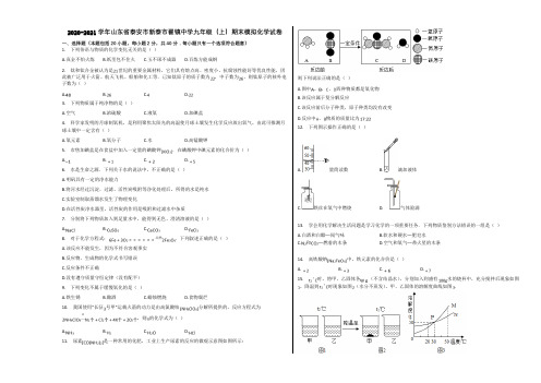 2020-2021学年山东省泰安市新泰市翟镇中学九年级(上)期末模拟化学试卷含解析