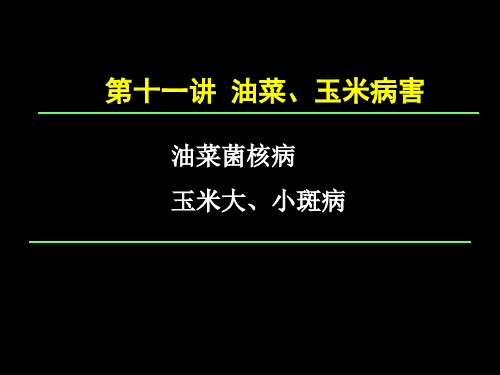 第十一讲 油菜玉米病害PPT课件