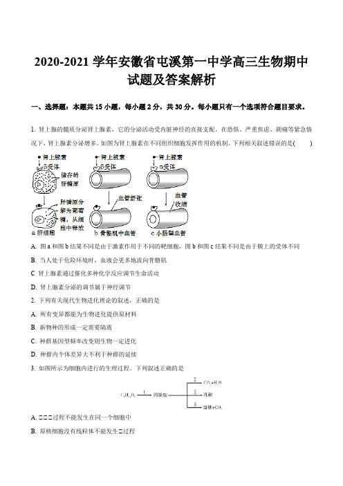 2020-2021学年安徽省屯溪第一中学高三生物期中试题及答案解析