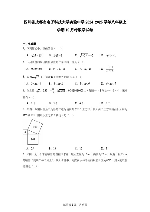 四川省成都市电子科技大学实验中学2024-2025学年八年级上学期10月考数学试卷