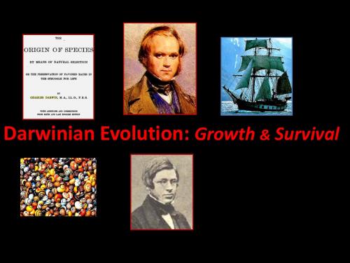 Unit1：Darwinian Evolution-Growth And Survival 达尔文进化论：生长和生存