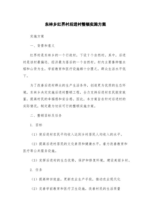 东林乡红界村后进村整顿实施方案