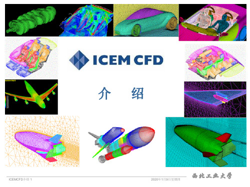 ICEM 基础学习ppt课件