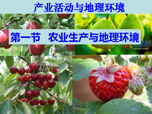 鲁教版高中地理必修二 第三单元 第一节 农业生产与地理环境 PPT