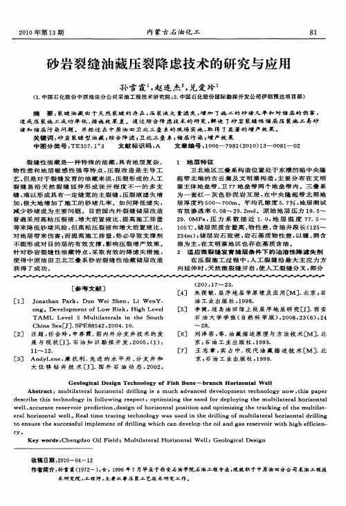 砂岩裂缝油藏压裂降虑技术的研究与应用