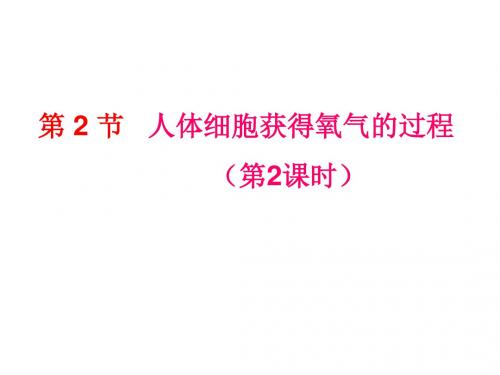 10.2.2人体细胞获得氧气的过程