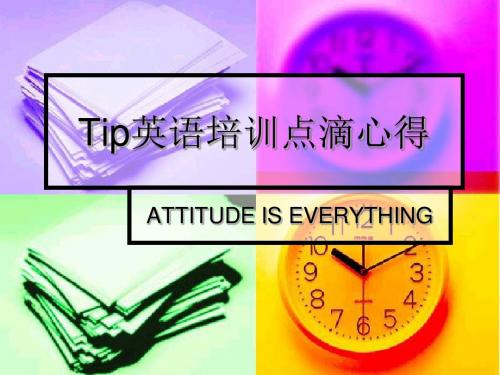 Tip 的学习经历与心得