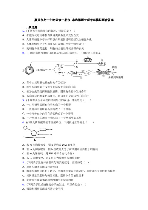 嘉兴市高一生物必修一期末 非选择题专项考试模拟题含答案