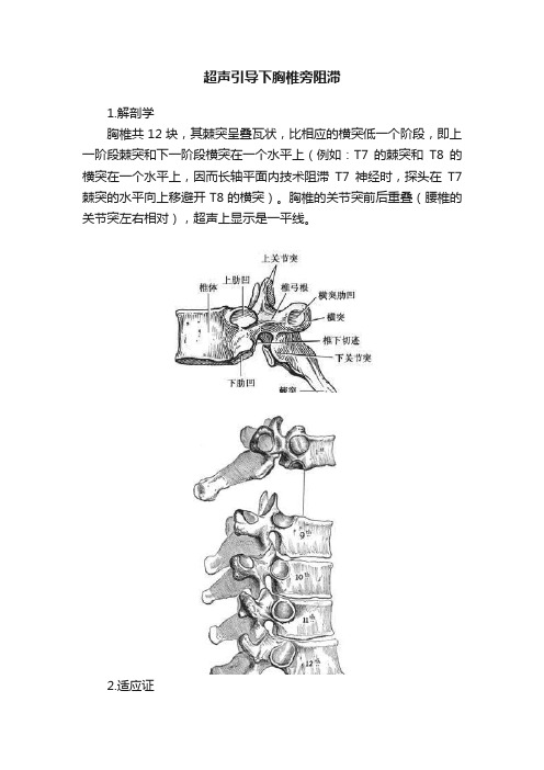 超声引导下胸椎旁阻滞