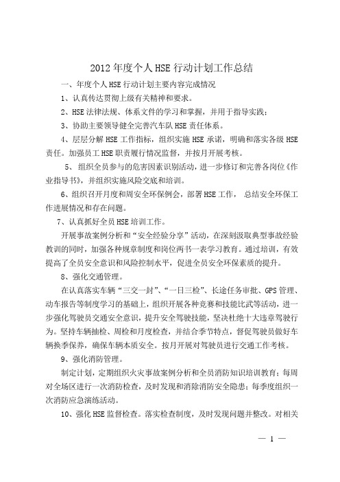 个人HSE行动计划总结