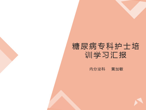 糖尿病专科护士培训学习汇报课件