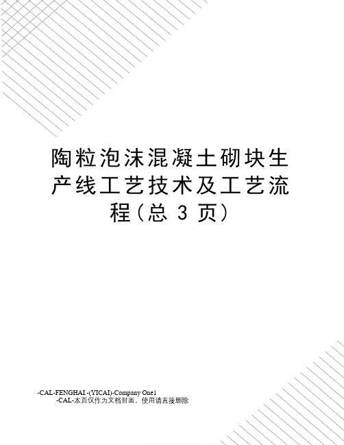 陶粒泡沫混凝土砌块生产线工艺技术及工艺流程(总3页)