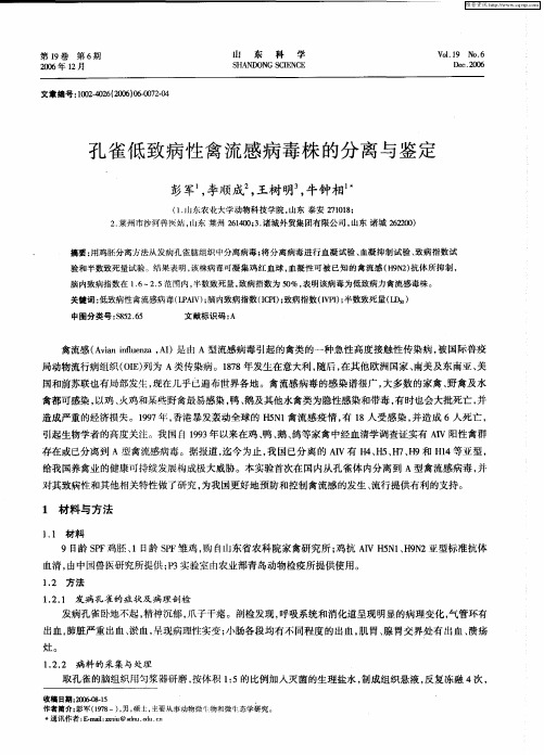 孔雀低致病性禽流感病毒株的分离与鉴定