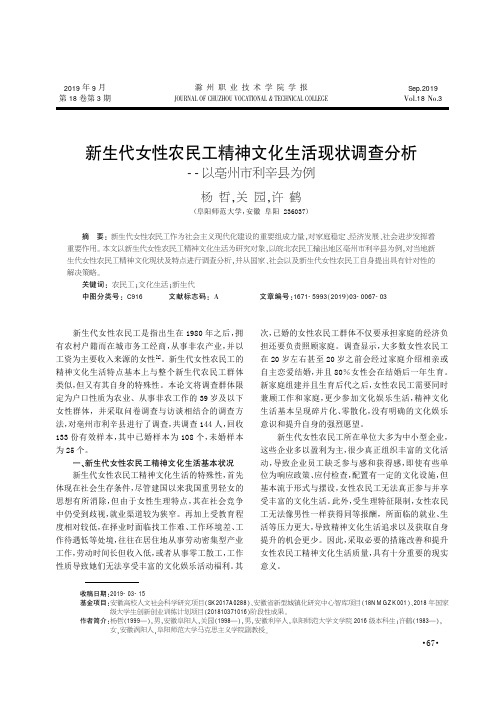 新生代女性农民工精神文化生活现状调查分析——以亳州市利辛县为例