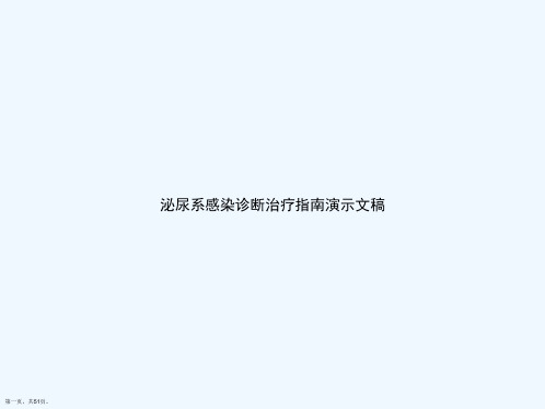 泌尿系感染诊断治疗指南演示文稿