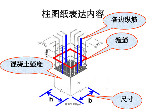 快速读懂--柱配筋图