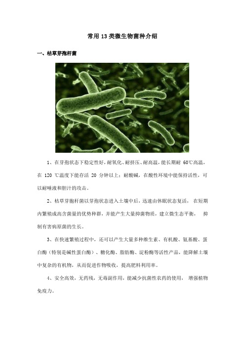 常用13类微生物菌种介绍