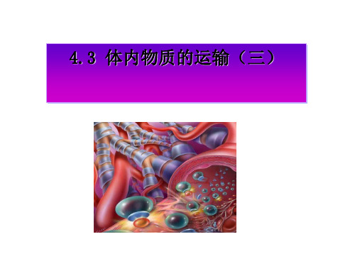 4.3体内物质的运输(第3课时)—浙教版九年级科学上册课件