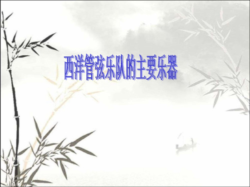 西洋管弦乐队的主要乐器介绍 PPT