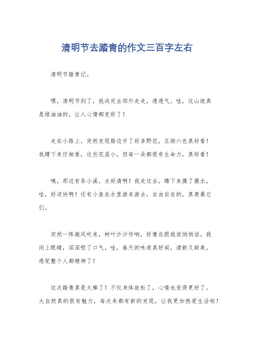 清明节去踏青的作文三百字左右