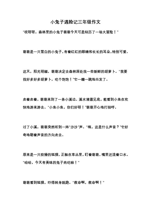 小兔子遇险记三年级作文