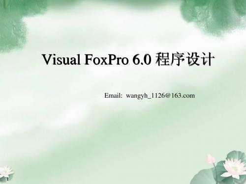 visual foxfro 6.0 教学课件第一章