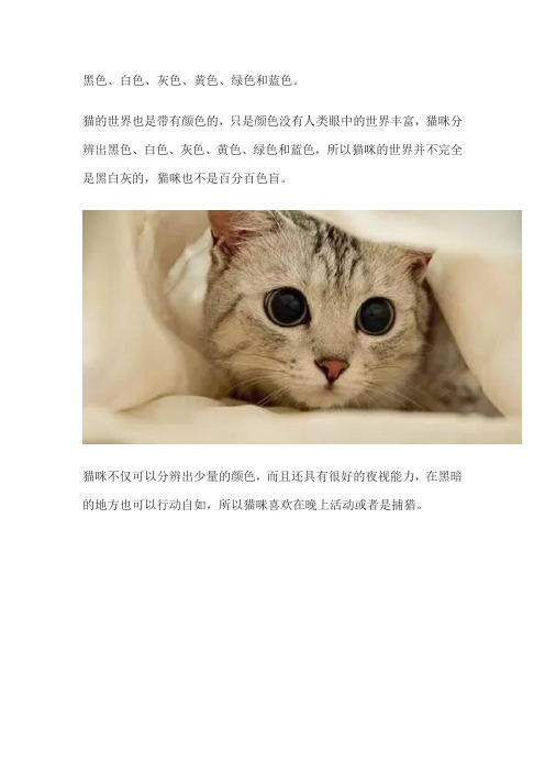 猫看到的世界是什么颜色的