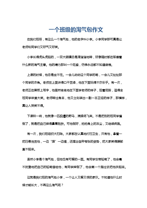 一个班级的淘气包作文