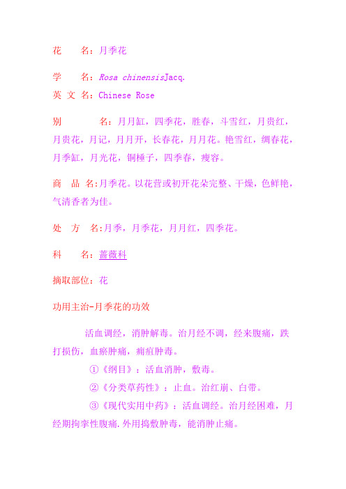 月季花