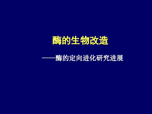 酶的改造